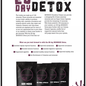 28 Day MOSSGOD Detox